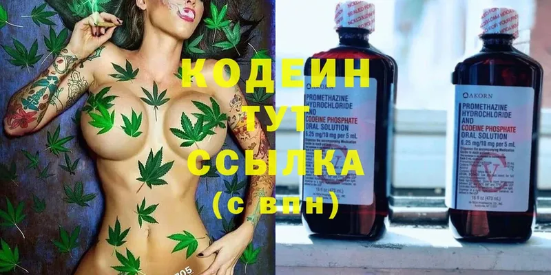 ссылка на мегу зеркало  маркетплейс формула  Кодеин Purple Drank  Новоалтайск 